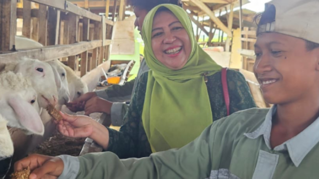 dosen-ipb-sulap-limbah-kangkung-jadi-pakan-ternak-alternatif-di-musim-paceklik_196364
